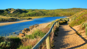 attraction in Margaret River region